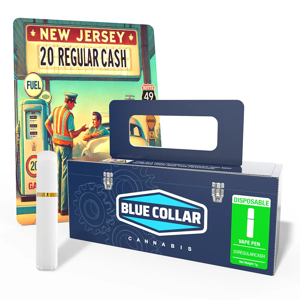 BCC-DISPOSABLE-DISPOSABLE-20REGULARCASH-1G