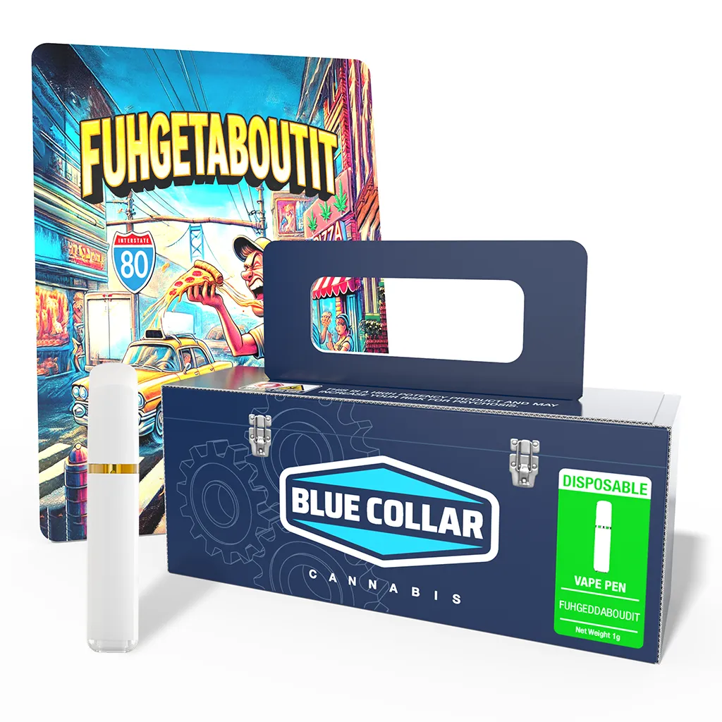 BCC-DISPOSABLE-DISPOSABLE-FUHGEDDABOUDIT-1G